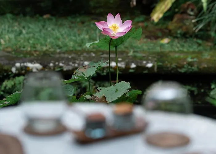 Ibah Ubud
